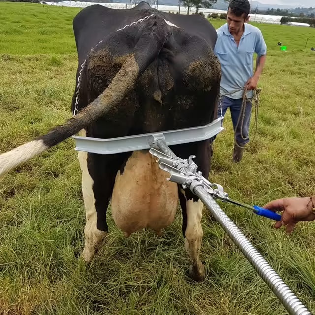 Extractor de Terneros – Hala Ternero Profesional | Insumos y Semillas del Caribe
