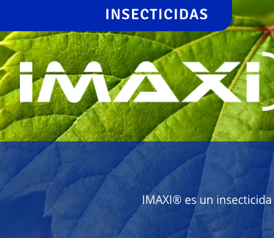IMAXI® 350 SC
