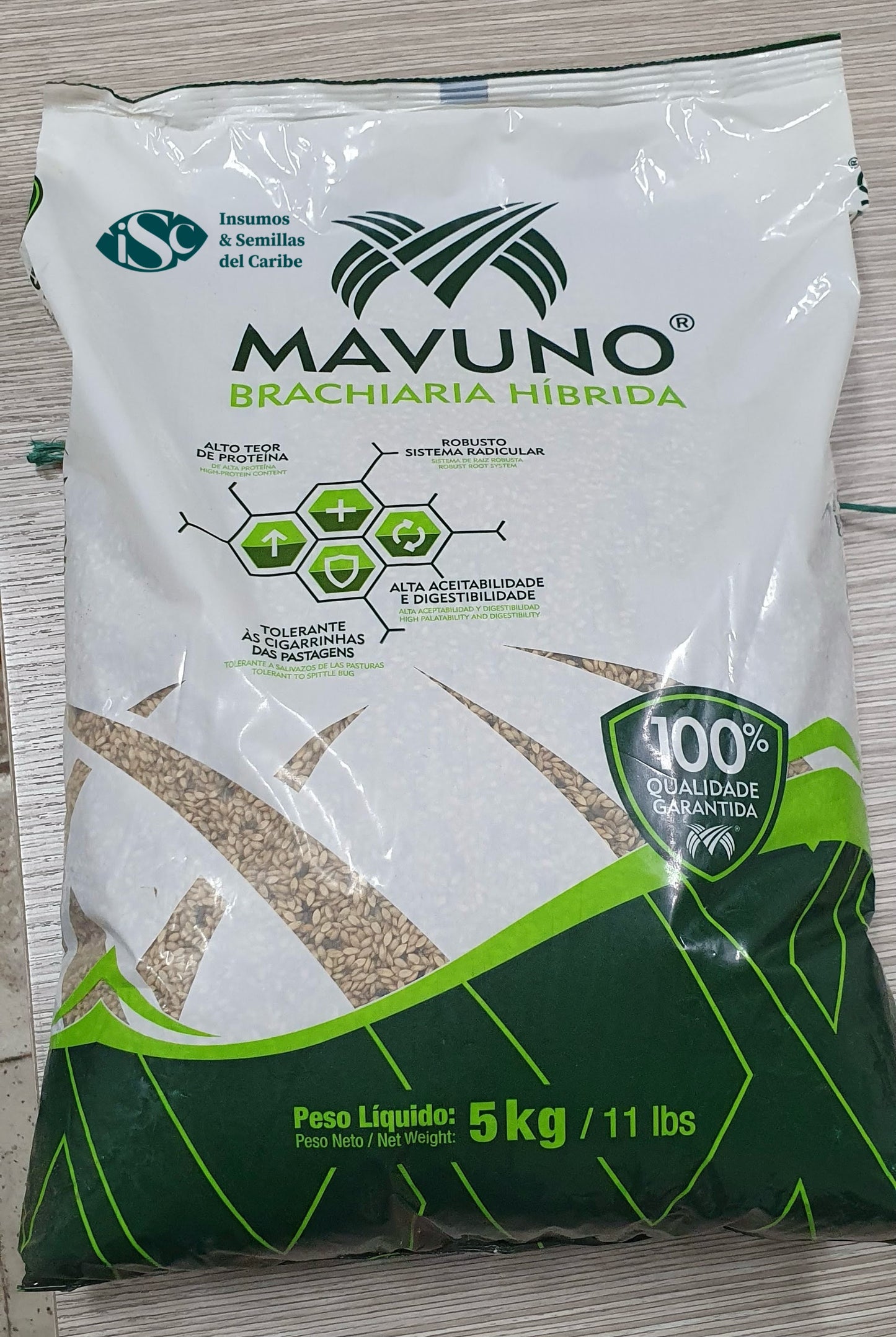 Semilla de Pasto Mavuno (Brachiaria híbrido) – Forraje de Alta Productividad para Carne y Leche