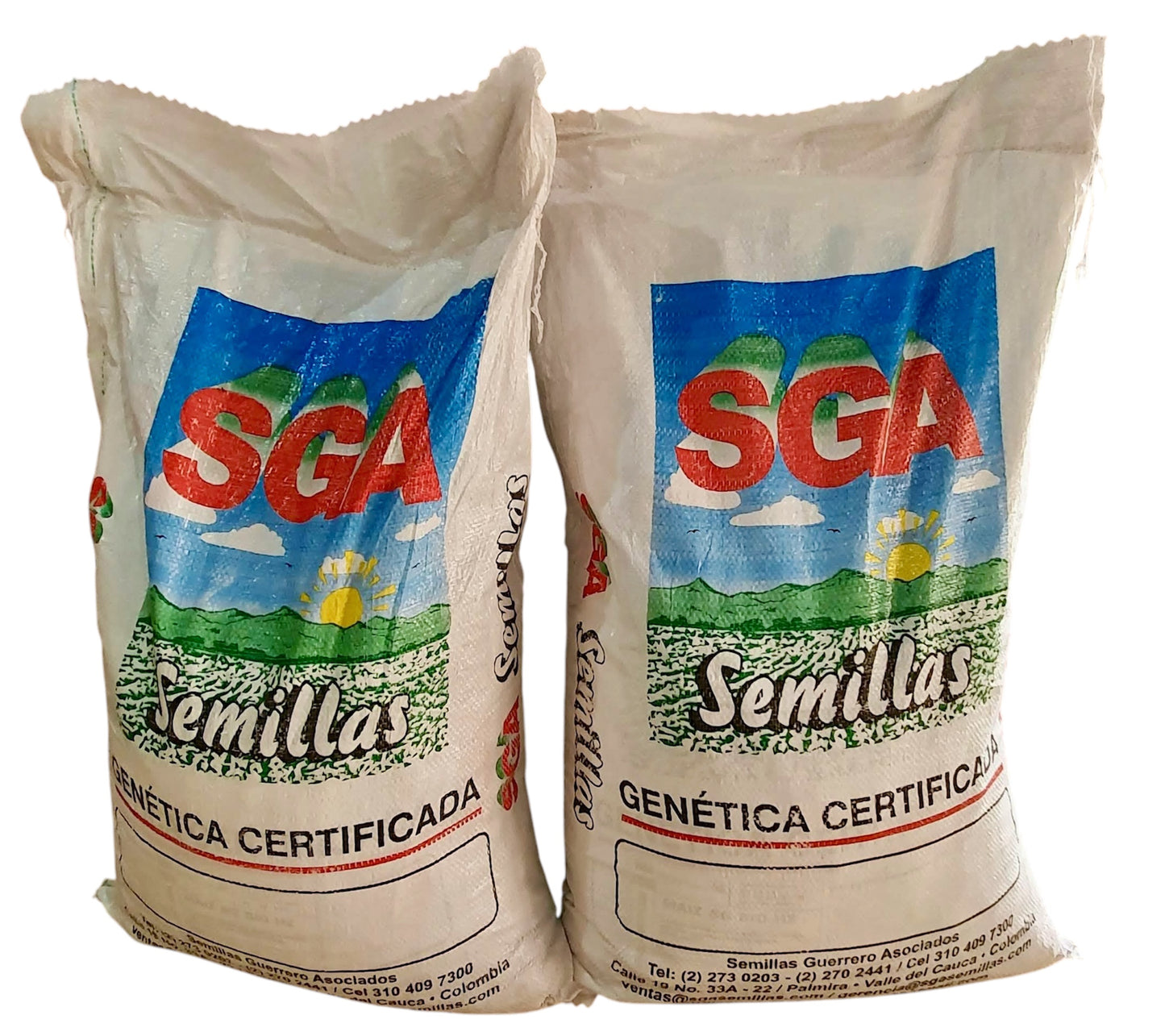 Maiz Blanco Híbrido Biofortificado SG BIO H2 60.000 Semillas