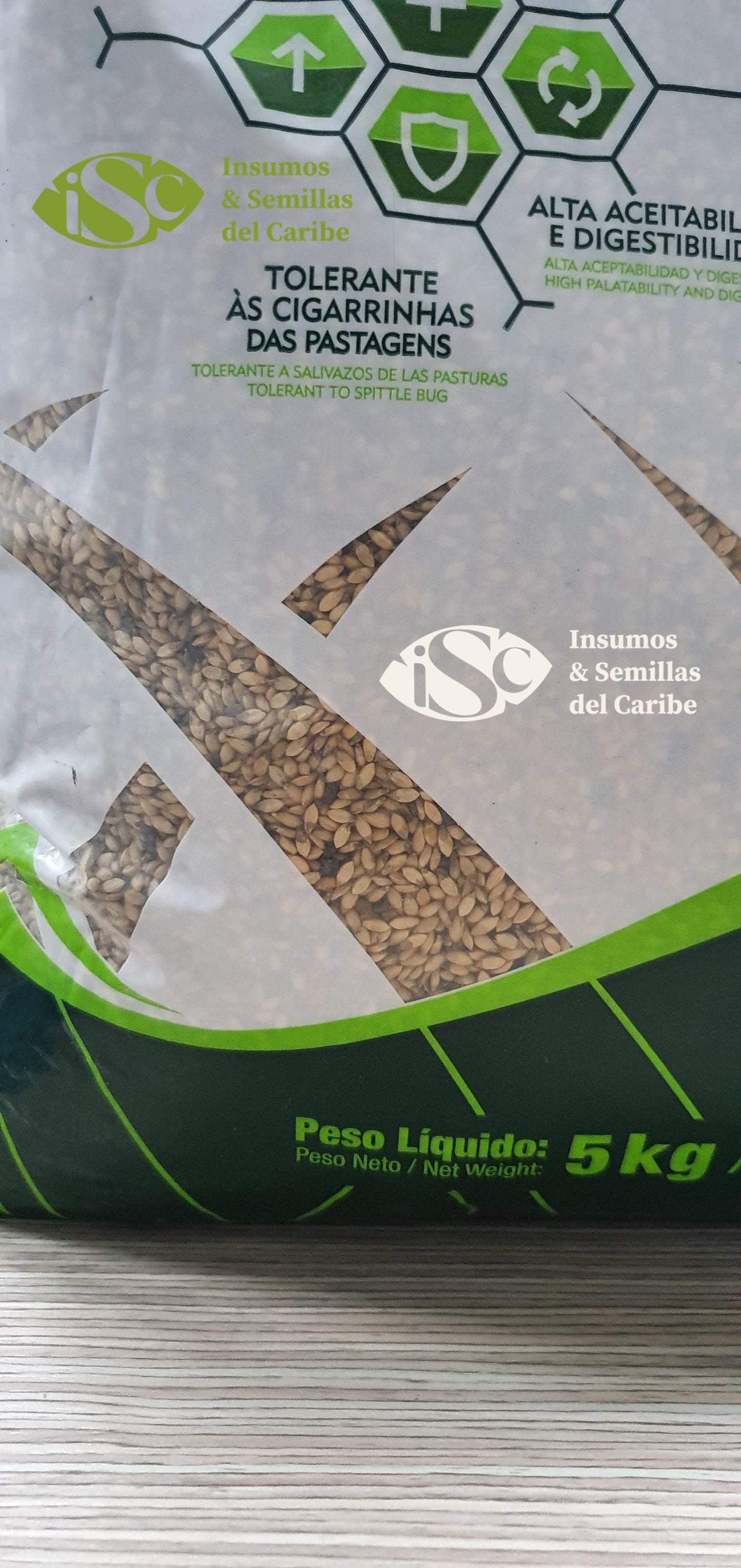 Semilla de Pasto Mavuno (Brachiaria híbrido) – Forraje de Alta Productividad para Carne y Leche