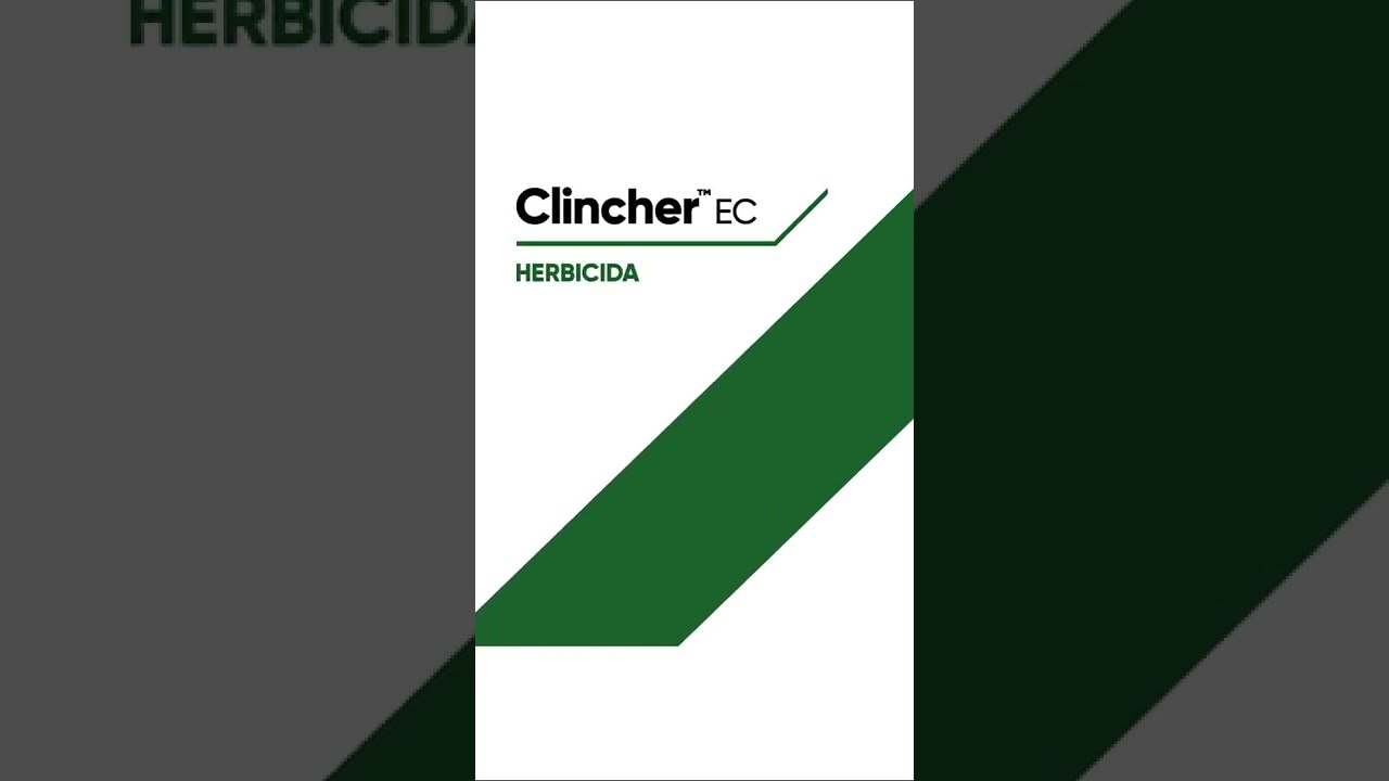 Clincher™ EC 4 LT