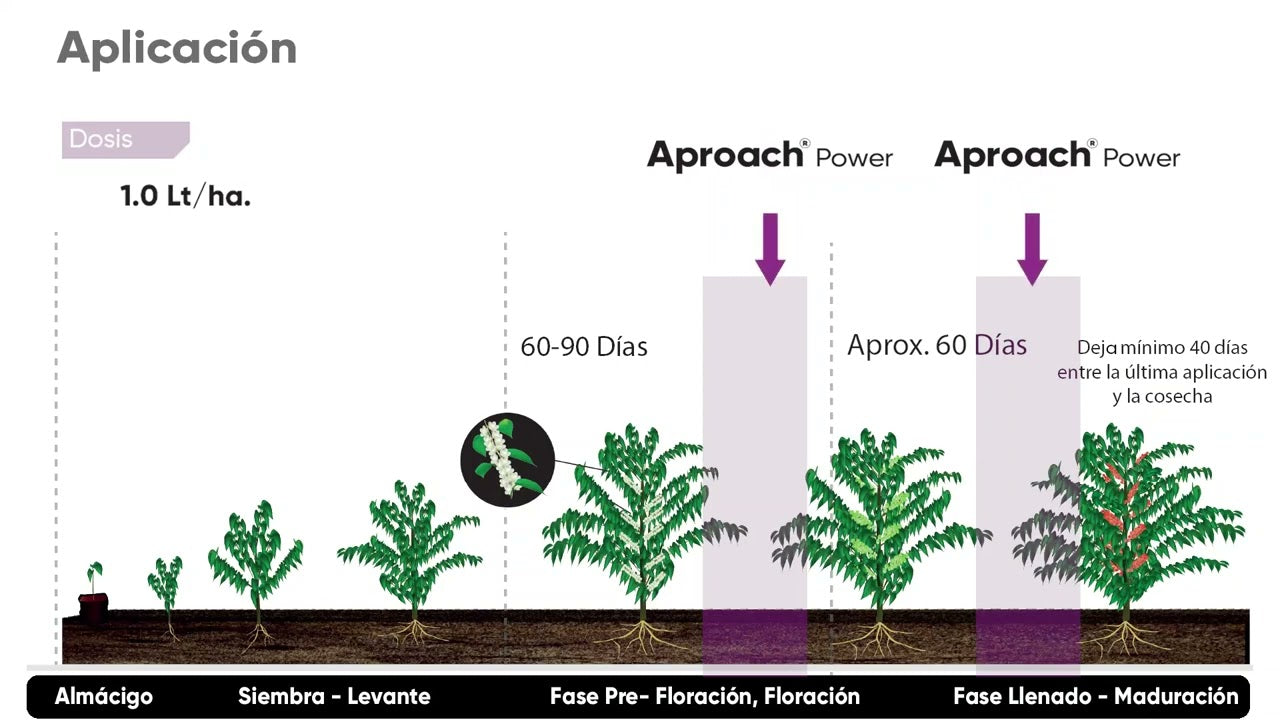 Aproach® Power