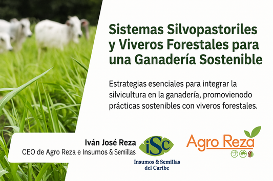 Sistemas Silvopastoriles: la clave para una ganadería sostenible en Colombia