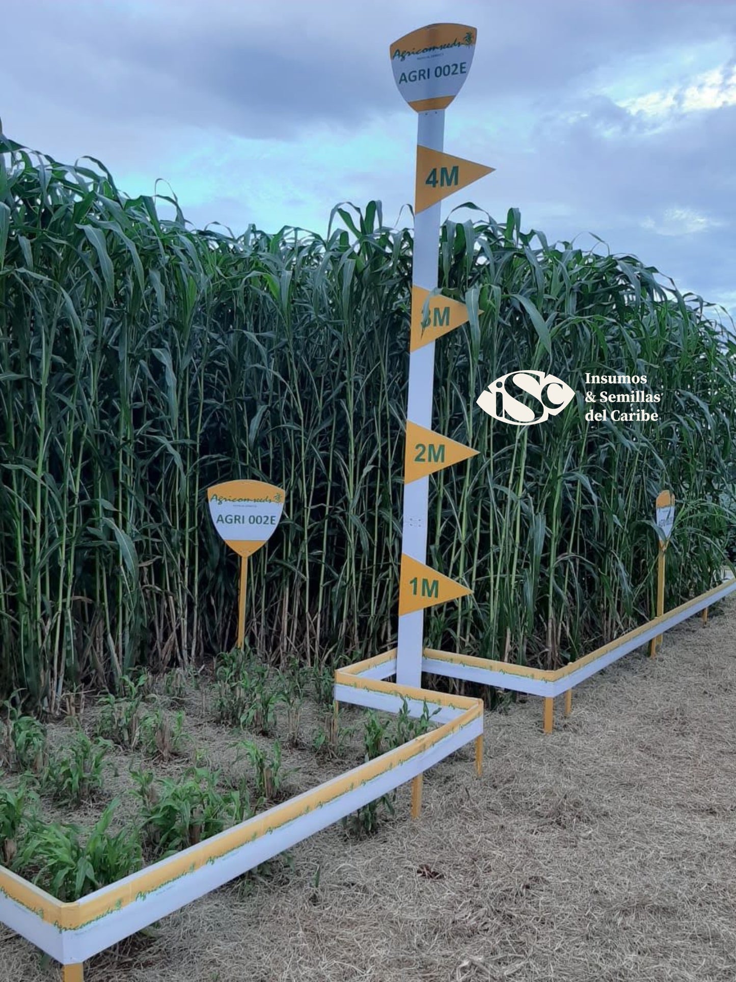 FICHA TÉCNICA – SORGO AGRI 002E