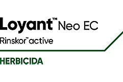 Loyant™ Neo EC 4LT