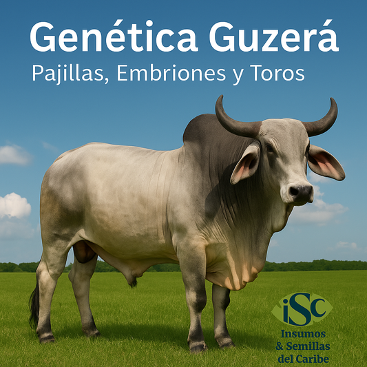 Lista de Precios Pajillas Guzerá | Insumos y Semillas del Caribe