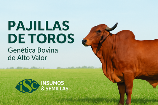 Lista de Precios – Pajillas Toros Sindi