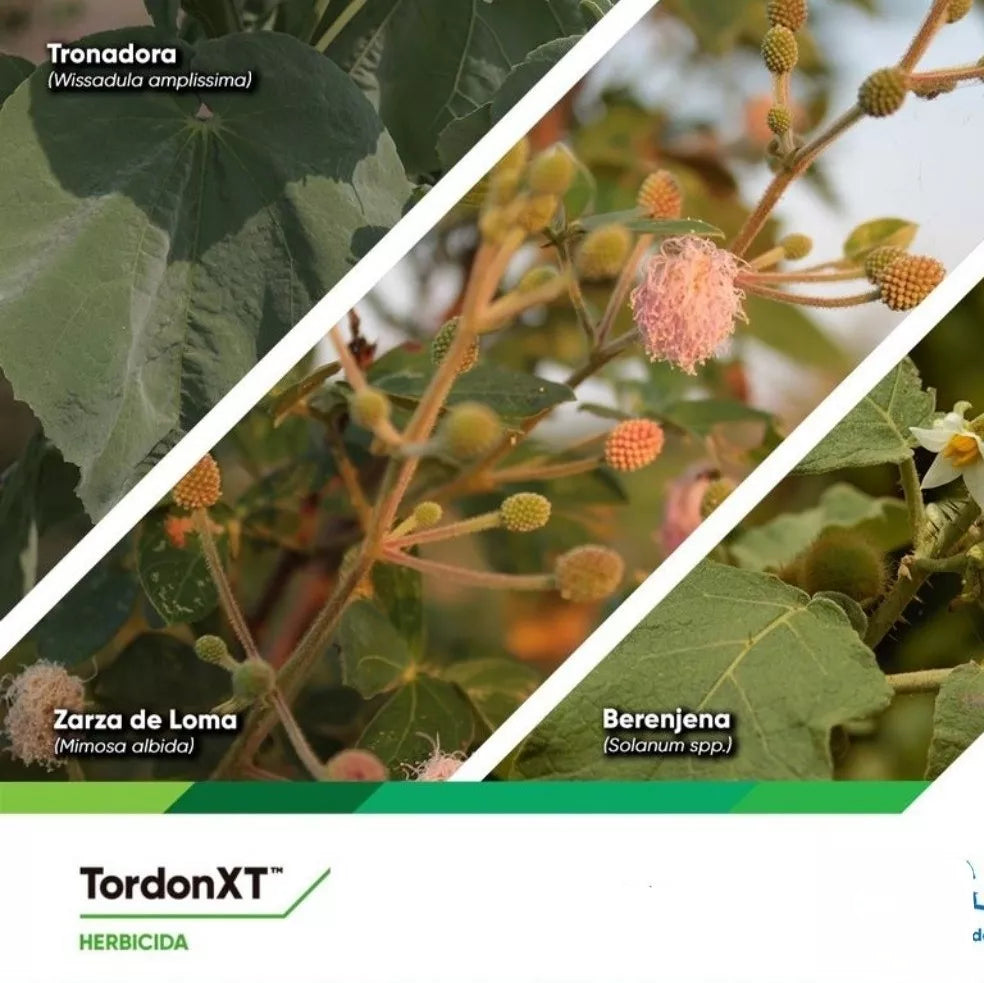 Tordon™XT      1 Lt.