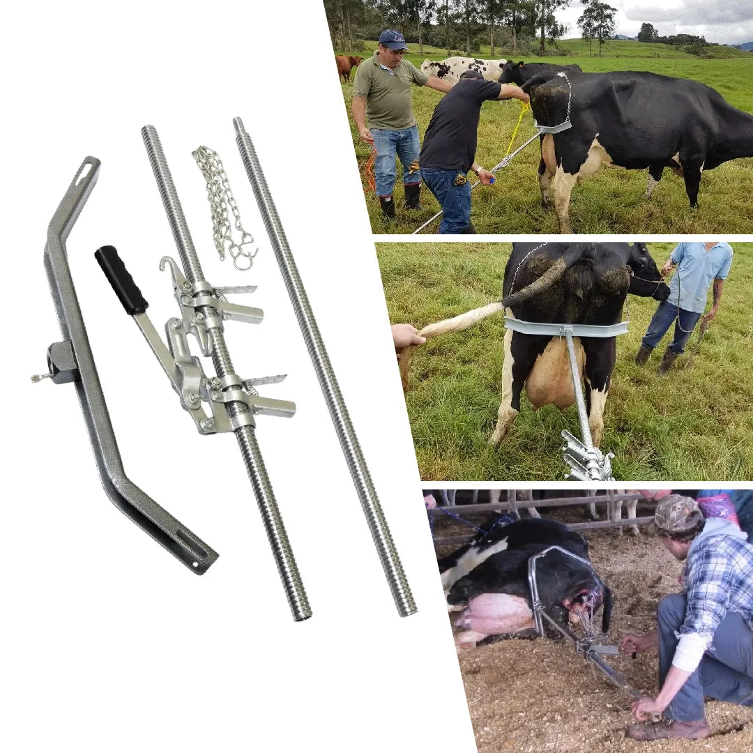 Extractor de Terneros – Hala Ternero Profesional | Insumos y Semillas del Caribe