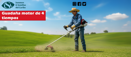 Guadaña 4 Tiempos para Uso Agrícola y Ganadero