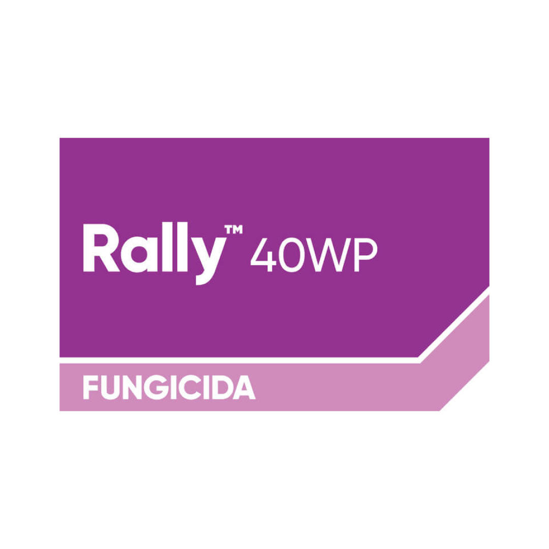 Rally 40W